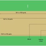 Cricket Pitch Length